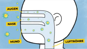 RS-Viren in Auge, Nase oder Mund